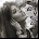 LolitaalcoT's Avatar